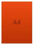 Icon flyer A4
